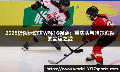3377体育官网